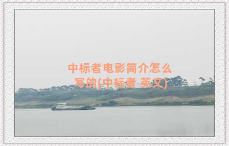 中标者电影简介怎么写的(中标者 英文)